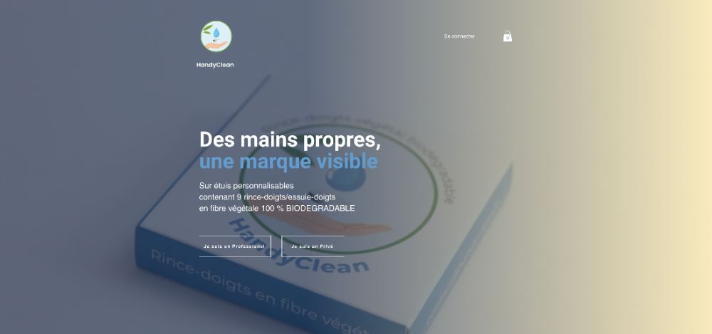 Site web — HandyClean